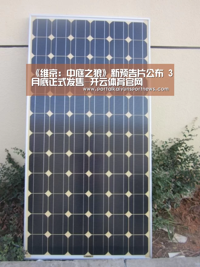 《维京:中庭之狼》新预告片公布 3月底正式发售-开云体育官网(图2) 开云体育官方