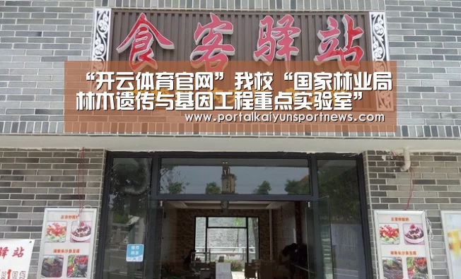 开云体育数据中心