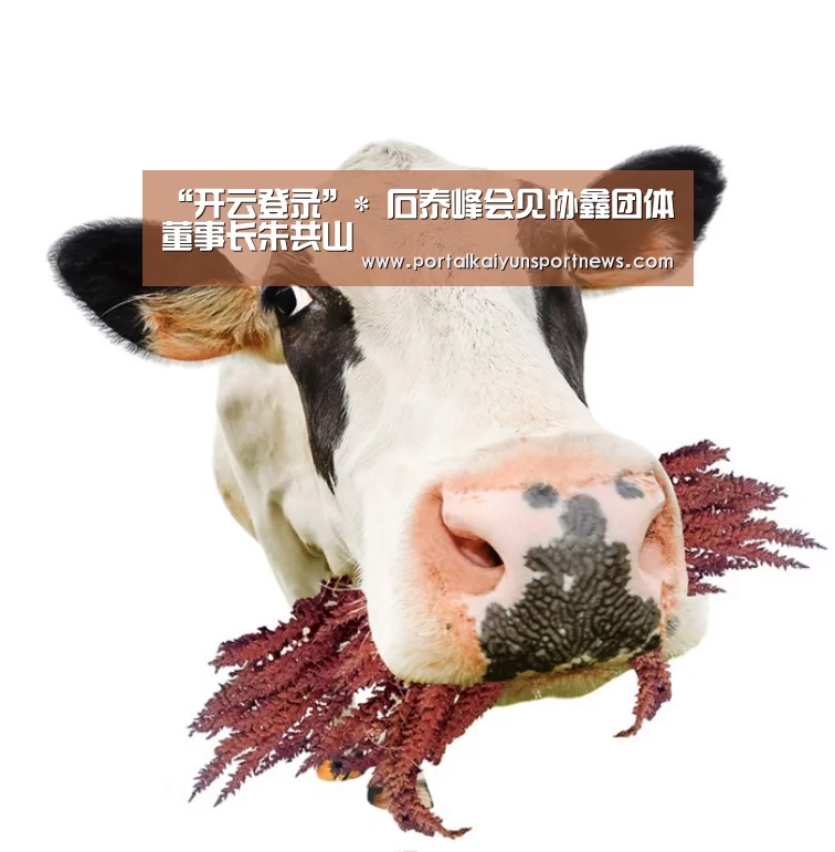 “开云登录”*
石泰峰会见协鑫团体董事长朱共山(图3) 开云登录