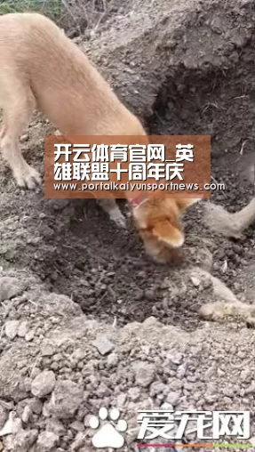 开云体育官网_英雄联盟十周年庆典2天倒计时 不见不散！