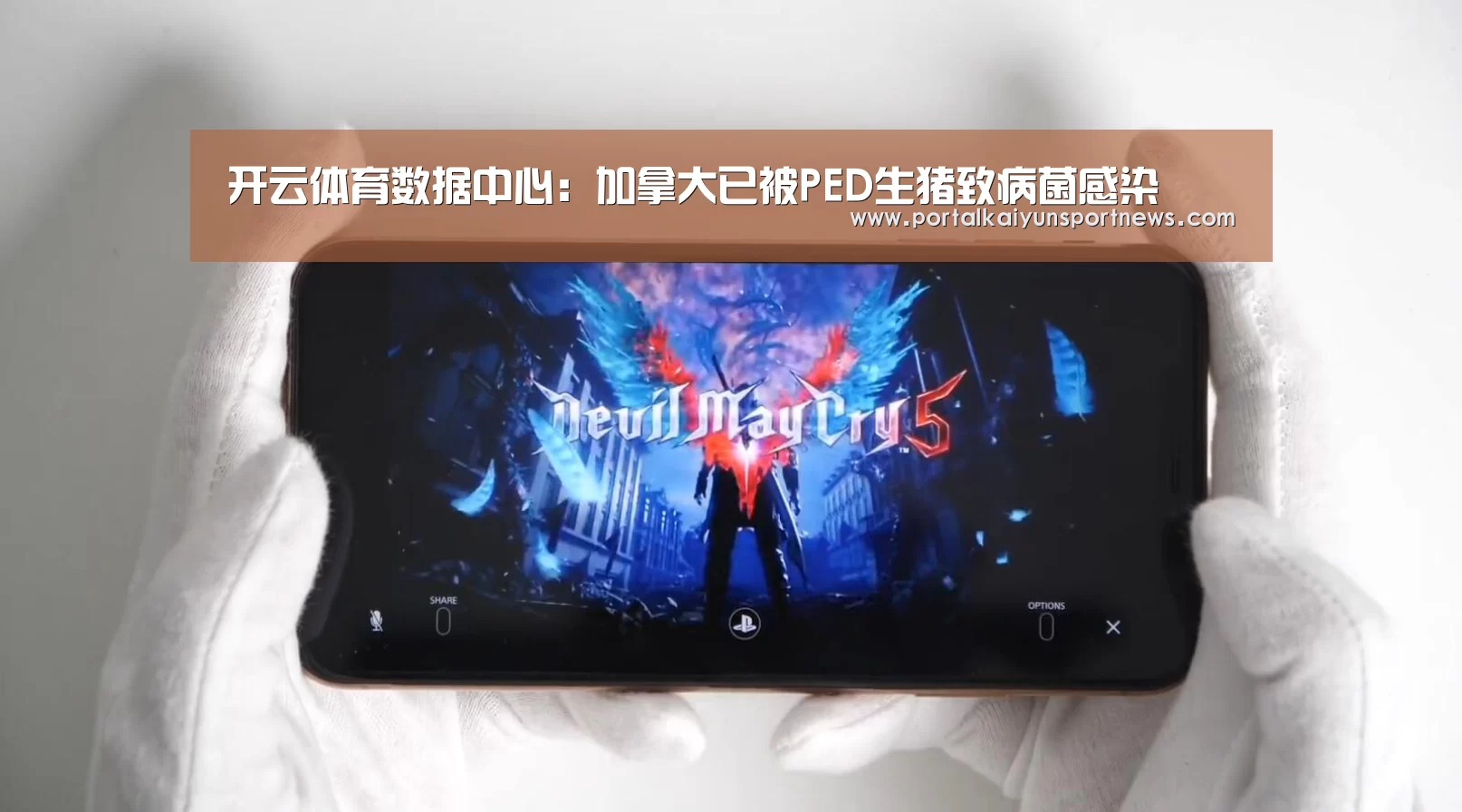 开云体育数据中心:加拿大已被PED生猪致病菌感染(图2) 开云体育官方