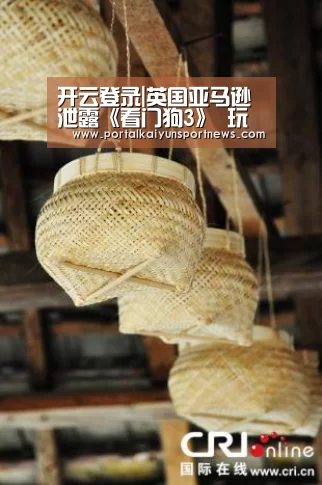 开云登录|英国亚马逊泄露《看门狗3》 玩家可扮演NPC角色(图1) 开云登录